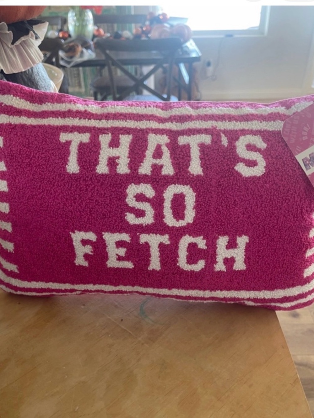 That’s So Fetch Pink Decorative Throw Pillow